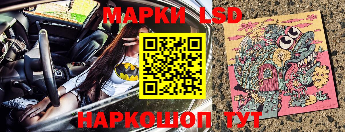 Марки N-bome  Вход с VPN  Наркотические марки 1,8мг  Лесной  Наркотические марки 1,8мг 