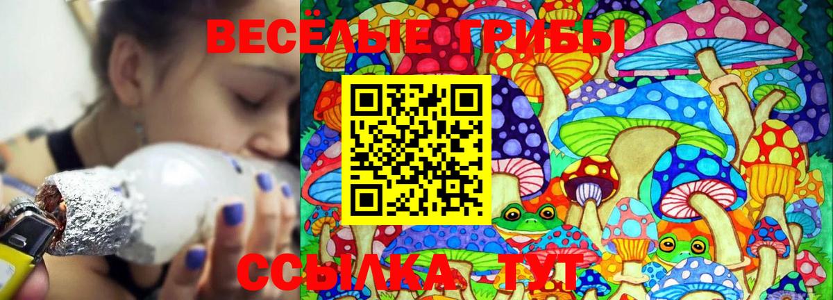 Псилоцибиновые грибы Psilocybine cubensis Лесной