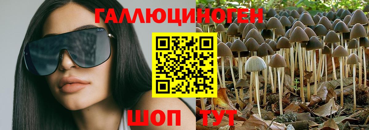 Псилоцибиновые грибы MAGIC MUSHROOMS  Галлюциногенные грибы Magic Shrooms  Лесной  Вход с VPN 